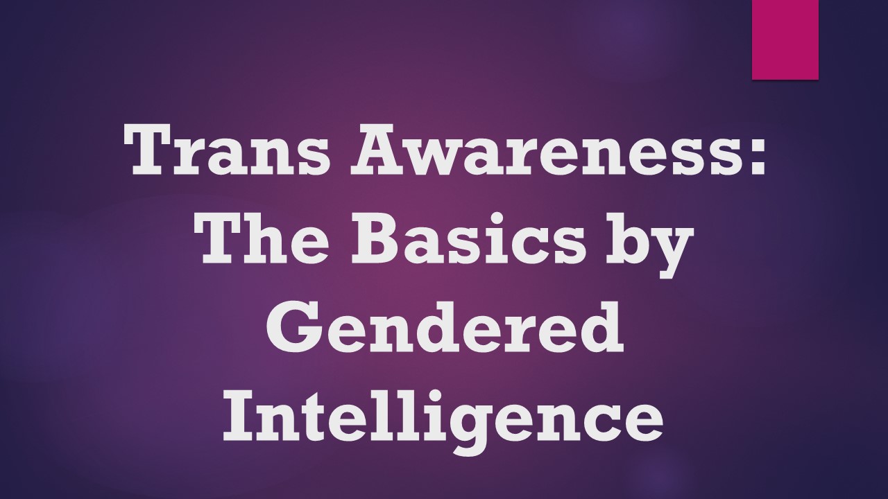 Trans awareness training thumbnail